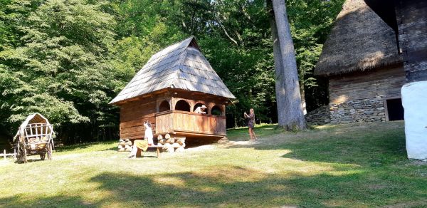 Casa ţărănească de pe bancnota de 10 lei, în Dumbrava Sibiului